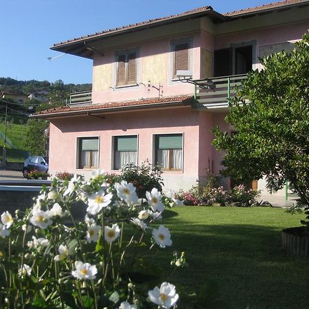 B&B Garden Solto Collina Exteriör bild